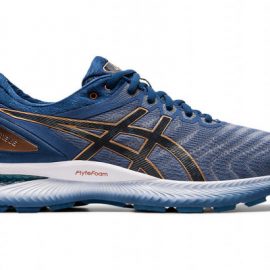 Asics Gel-Nimbus 22