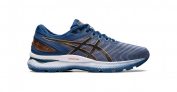 Asics Gel-Nimbus 22